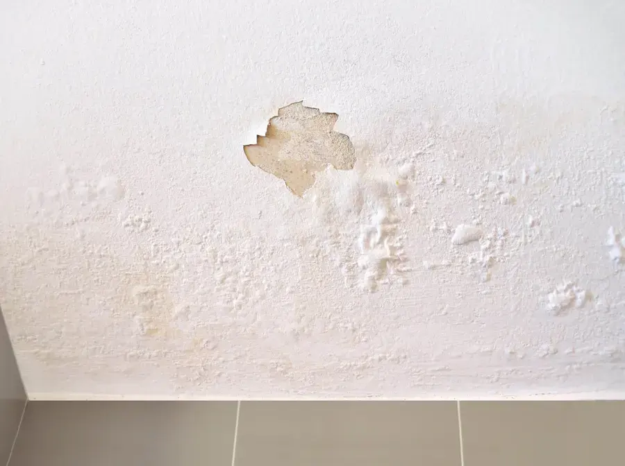 Bubbled paint and a water stain on a ceiling from a leak above in a Plant City home